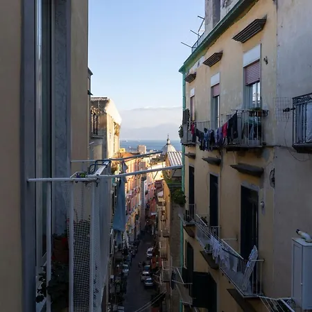 Hostel Hopestel Secret Garden *