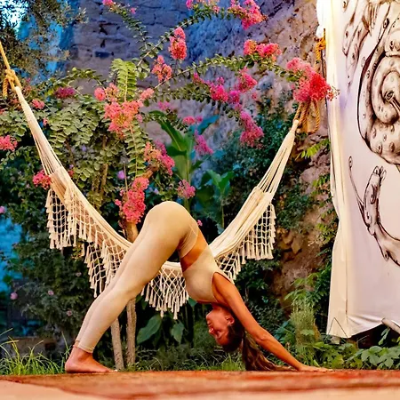 Hopestel Secret Garden Hostel *